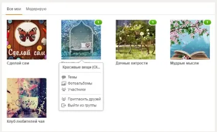 Як видалити групу в однокласниках - вихід зі свого або чужого спільноти (групи) Як видалити групу в однокласниках - вихід зі свого або чужого спільноти