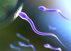 Як поліпшити якість сперми (поліпшити) Як поліпшити якість сперми