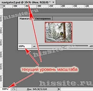 Як зменшити, збільшити масштаб в фотошоп, уроки adobe photoshop, фотошоп