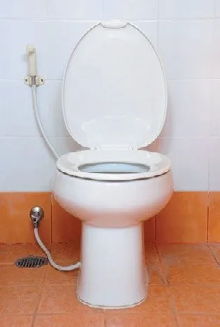 Як встановити біде