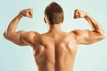 Як зміцнити м'язи спини людини, анатомія, зарядка, гімнастика (гімнастика для зміцнення м'язів спини) Як зміцнити м'язи спини людини, анатомія, зарядка, гімнастика