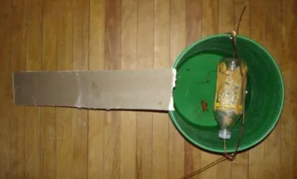 Як встановлювати мишоловку інструкція та поради
