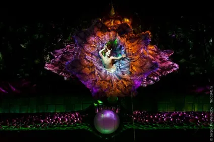 Як влаштовано шоу zarkana, як це зроблено (zarkana) Як влаштовано шоу zarkana, як це зроблено