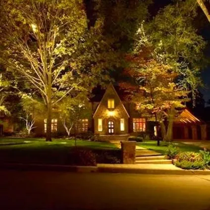 Як знищити мурашок - 8 способів як вивести мурах з городу, з дому, з квартири (знищити) Як знищити мурашок - 8 способів як вивести мурах з городу, з дому, з квартири