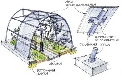 Як утеплити теплицю з полікарбонату всередині (утеплити) Як утеплити теплицю з полікарбонату всередині