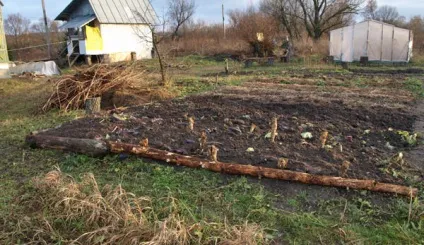 Як доглядати за землею на вашому городі (городі) Як доглядати за землею на вашому городі