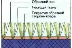 Як вибрати килим на підлогу корисні поради (високою міцністю еластичністю) Як вибрати килим на підлогу корисні поради