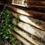 Як вибрати зруб для себе, все про ремонт квартири (Жити колод зрубі) Як вибрати зруб для себе, все про ремонт квартири