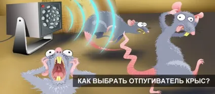 Як вибрати відлякувач щурів і мишей - який краще, відгуки, ціни (мишей) Як вибрати відлякувач щурів і мишей - який краще, відгуки, ціни