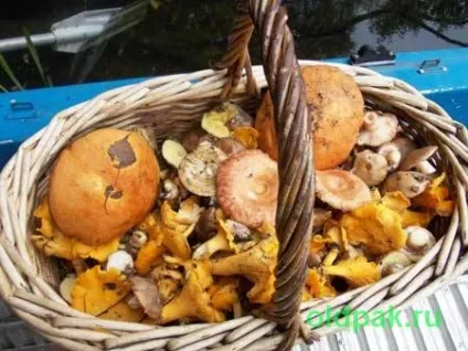 Як вибрати печериці і не захворіти (гриби купувати Гриби) Як вибрати печериці і не захворіти
