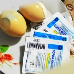 Як виглядають таргани і що вони з себе представляють