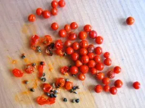 Як виростити аспарагус з насіння посадка і догляд ... посадка, догляд і розмноження рослин (посадка) Як виростити аспарагус з насіння посадка і догляд ... посадка, догляд і розмноження рослин