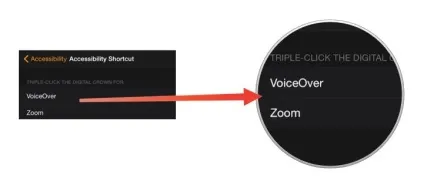 Як вимкнути функцію voice over на apple watch як відключити опцію voice over на iwatch (вимкнути) Як вимкнути функцію voice over на apple watch як відключити опцію voice over на iwatch