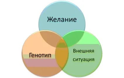 Як викувати сучасного лідера коучинг лідерства (лідерства) Як викувати сучасного лідера коучинг лідерства