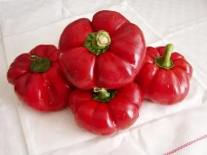 Як вирощувати перець ратунду