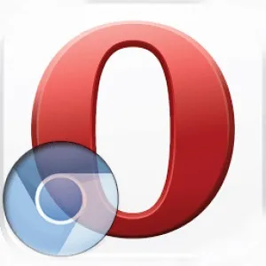 Як включити режим інкогніто в опері