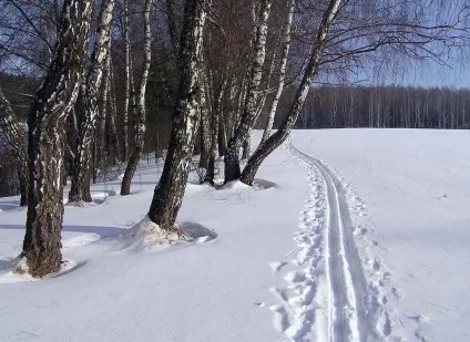 Як заповнити недолік сонячного світла взимку (сонячного) Як заповнити недолік сонячного світла взимку