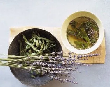 Мозок - лікування струсу мозку народними засобами і методами (струсу) Мозок - лікування струсу мозку народними засобами і методами