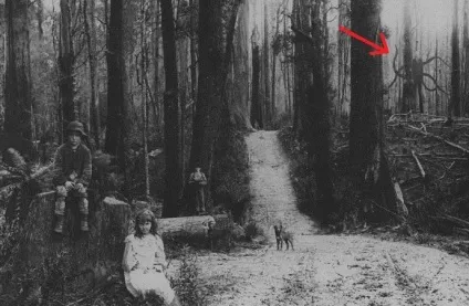 Чи може Тонка людина бути реальним (8 фото) (Тонка людина) Чи може Тонка людина бути реальним (8 фото)