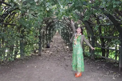Музей-садиба Ніжині в Підмосков'ї (музей-садиба) Музей-садиба Ніжині в Підмосков'ї