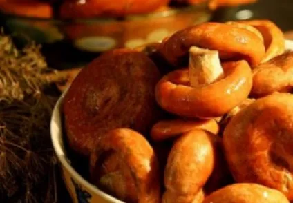 Чи можна маринувати гриби рижики як маринувати рижики (додати спеції варити) Чи можна маринувати гриби рижики як маринувати рижики
