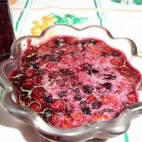 Як заморозити чорницю на зиму правильно