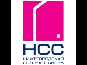Як взяти в борг на НСС ( «Віртуальний платіж» можна) Як взяти в борг на НСС