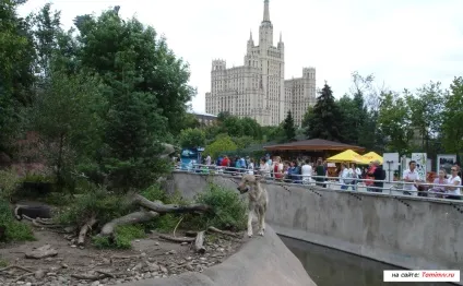 Як я провів відпустку в москві влітку! Фото додаються! Блог вячеслава Томіна (відпустка) Як я провів відпустку в москві влітку! Фото додаються! Блог вячеслава Томіна