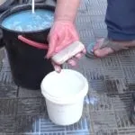Як захистити яблуні від мишей взимку народні засоби (мишей) Як захистити яблуні від мишей взимку народні засоби