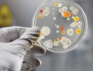Як захистити обличчя від сильних морозів 6 кращих захисних кремів (особа) Як захистити обличчя від сильних морозів 6 кращих захисних кремів