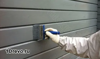 Як захистити дерев'яний будинок від комах, гризунів, мишей, старіння (гризун захистити дерев'яний будинок комаха) Як захистити дерев'яний будинок від комах, гризунів, мишей, старіння