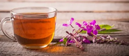 Як заварювати і пити іван чай правильно, taste of tea (іван) Як заварювати і пити іван чай правильно, taste of tea