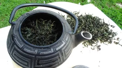 Як заварювати і пити іван чай правильно, taste of tea (заварювати) Як заварювати і пити іван чай правильно, taste of tea