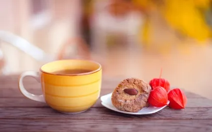 Як заварювати і пити іван чай правильно, taste of tea (заварювати) Як заварювати і пити іван чай правильно, taste of tea