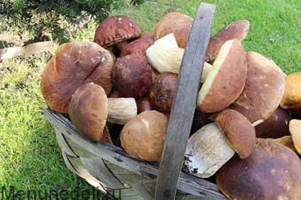 Як засушити гриби - рецепт з покроковими фото (сушені гриби можна) Як засушити гриби - рецепт з покроковими фото