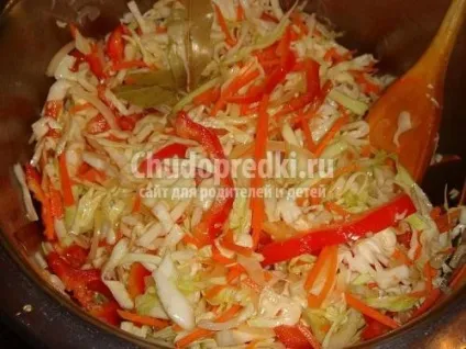 Як засолити капусту