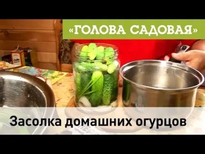 Як засолити огірки в банку на зиму легко засолювання огірків холодним способом! Рецепт засолювання огірків (огірків) Як засолити огірки в банку на зиму легко засолювання огірків холодним способом! Рецепт засолювання огірків