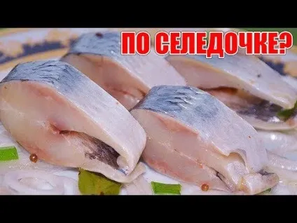 Як засолити огірки в банку на зиму легко засолювання огірків холодним способом! Рецепт засолювання огірків (огірки) Як засолити огірки в банку на зиму легко засолювання огірків холодним способом! Рецепт засолювання огірків