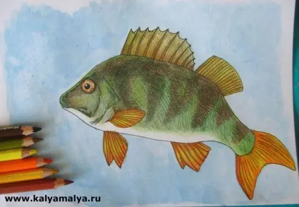 Каля маля все про малюнках 1