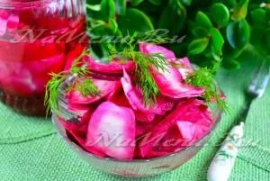 Капуста квашена з буряком, рецепт як у моєї бабусі (лавр) Капуста квашена з буряком, рецепт як у моєї бабусі