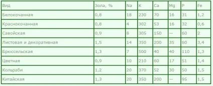 Капуста білокачанна користь і шкода для організму людини (капуста) Капуста білокачанна користь і шкода для організму людини