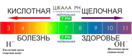 Караваєвський збір і фріланс