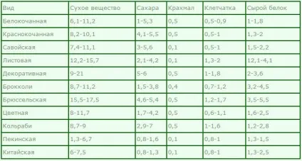 Капуста білокачанна користь і шкода для організму людини (капуста) Капуста білокачанна користь і шкода для організму людини