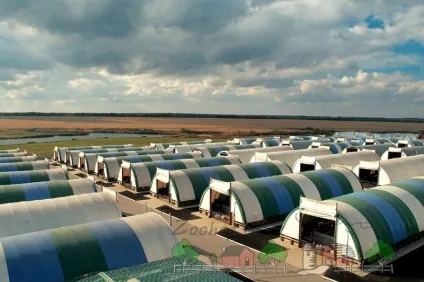Канадська технологія вирощування свиней огляд і відео (свиней) Канадська технологія вирощування свиней огляд і відео
