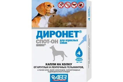 Краплі від глистів для собак інструкція із застосування, компетентно про здоров'я на ilive (інструкція) Краплі від глистів для собак інструкція із застосування, компетентно про здоров'я на ilive