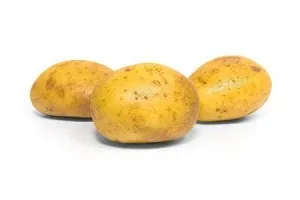 Картопля для риболовлі