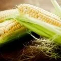 До чого сняться п'явки сонник п'явки наснилися уві сні (сонник) До чого сняться п'явки сонник п'явки наснилися уві сні
