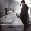 До чого сняться воші у сеья в голові - сонник бачити уві сні вошей у волоссі (сонник) До чого сняться воші у сеья в голові - сонник бачити уві сні вошей у волоссі