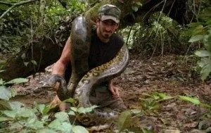 До чого сняться змії уві сні і що це означає