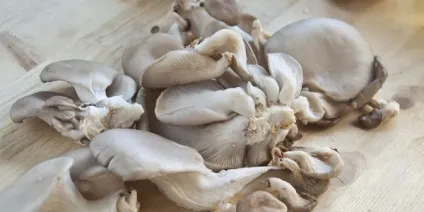 Картопля з куркою в горщиках (тушкована, печеня) рецепти (курка з картоплею та грибами в горщиках) Картопля з куркою в горщиках (тушкована, печеня) рецепти